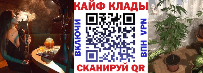 Купить наркоту Аркадак Конопля  Кокаин  СОЛЬ  Меф 