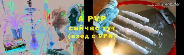 гидра Алексин