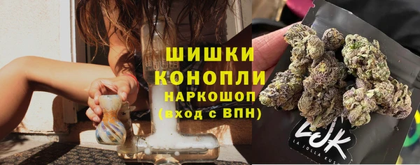 молекула духа Арсеньев